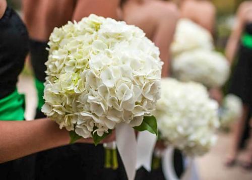White Hydrangea Bridal Bouquet, Appleton WI Wedding Florist, Memorial Florists