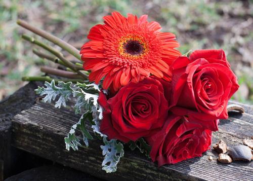 Red Rose Bridal Bouquet, Appleton WI Wedding Florist, Memorial Florists